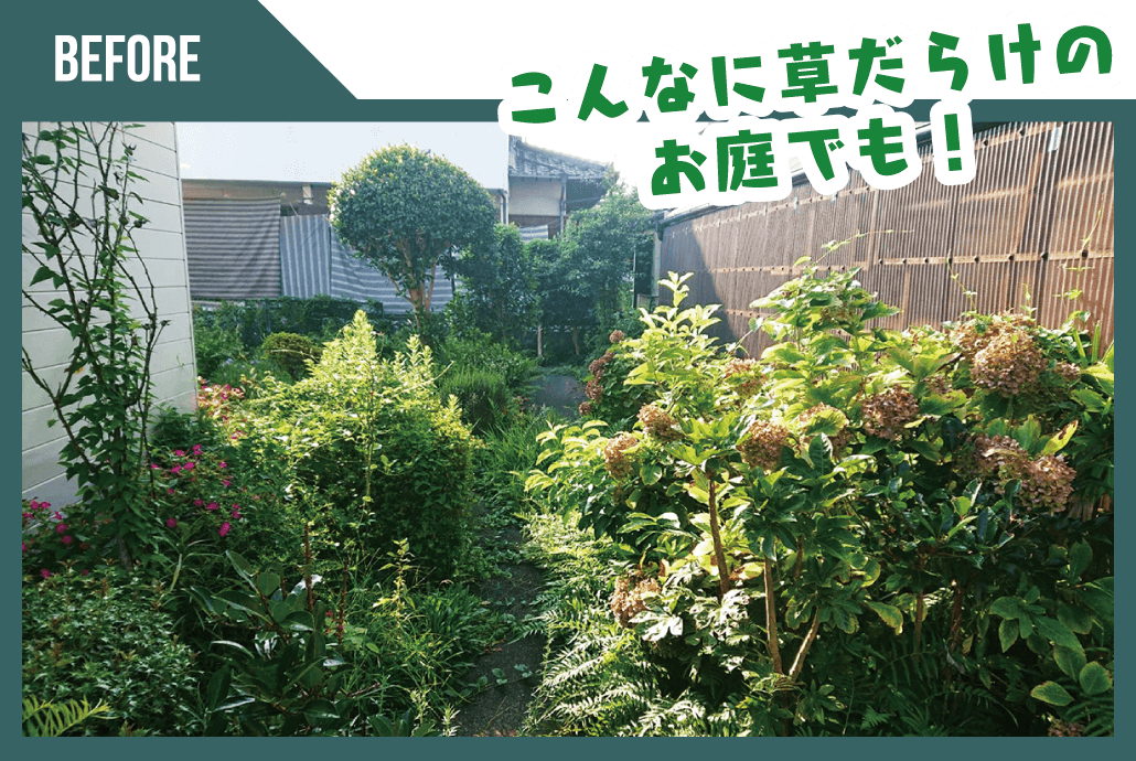 CASE01 ビフォー