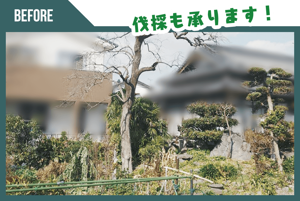 CASE02 ビフォー